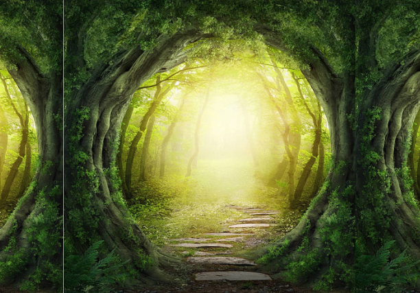 芝穎老師學苑Blog